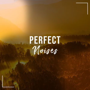 Enchanting Sea Waves