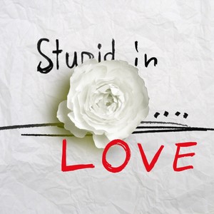 Stupid in love