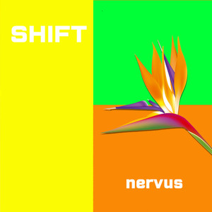 nervus