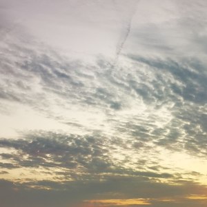 这一生关于你的风景