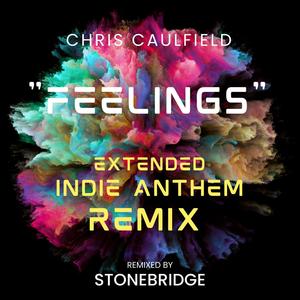 Feelings (StoneBridge Extended Remix) [Explicit]