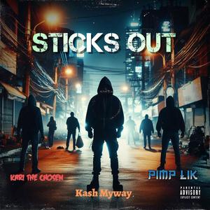 Sticks Out (Explicit)