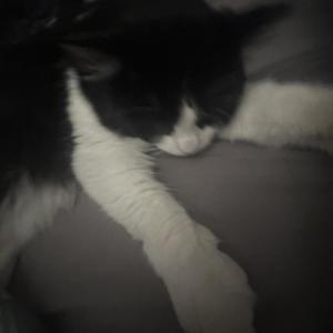 no caution (Explicit)