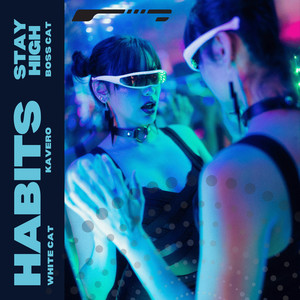 Habits (Stay High) (Slowed)