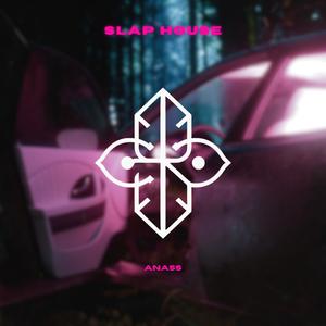 PASSO BEM SOLTO (SLAP HOUSE REMIX)