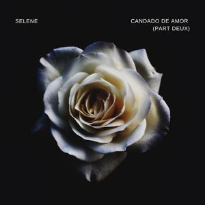 CANDADO DE AMOR (PART DEUX) (Explicit)