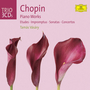 12 Etudes, Op. 10 - Chopin: 12 Etudes, Op. 10: No. 6 In E Flat Minor (12 Etudes, Op.10: レンシュウキョクダイ６バン|12 Etudes, Op.10: 練習曲 6番 変ホ短調 作品10の6)