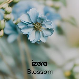 XZY - Blossom
