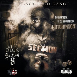 Section 8 (Explicit)