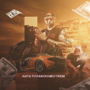 GATA TU PAROU MEU TREM