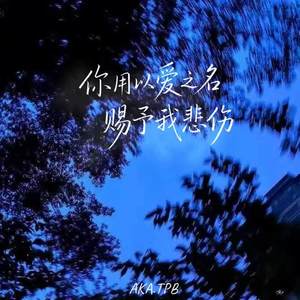 你用以爱之名赐予我悲伤