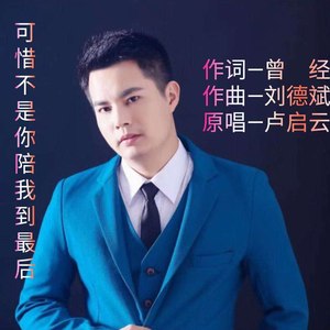 可惜不是你陪我到最后