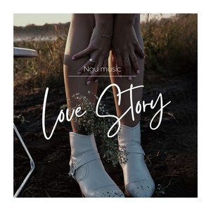Love Story (Live)