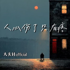 大头针 Official - 人心伤了只有疼