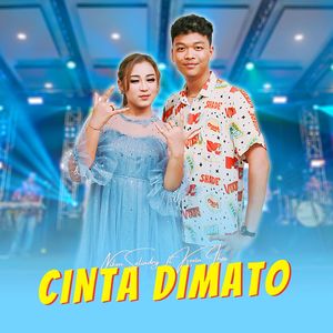 Cinta Dimato