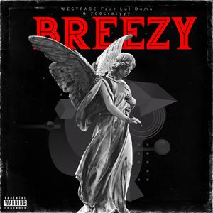 Breezy (feat. Lul Domo & 700Crazyyy) [Explicit]