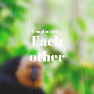 Complimentary Each other