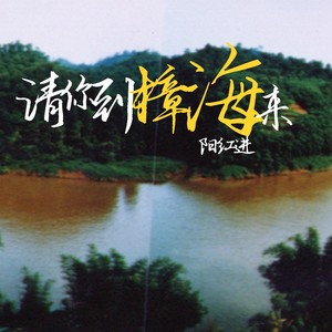 请你到樟海来