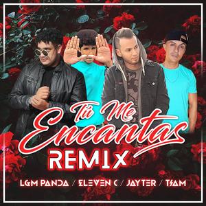 Tú Me Encantas (feat. Tiam, Eleven C & LGM Panda) (Remix)