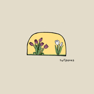 tulipanes