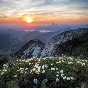 Dónde Nunca Nos Vacilarán