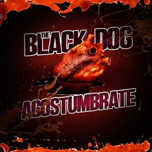 Acostumbrate (Explicit)