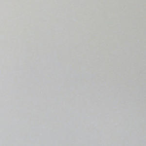 i think i made a friend