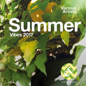 Summer Vibes 2017