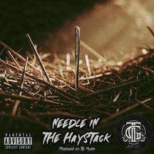 Needle in the Haystack (Explicit)