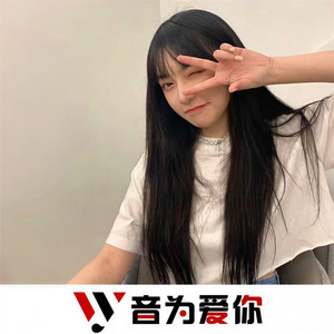 顶级车载混电 (DJ版)