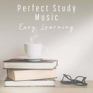 Perfect Study Music (Easy Learning, Calm Study Music, Concentration & Brain Stimulation, Exam Study,