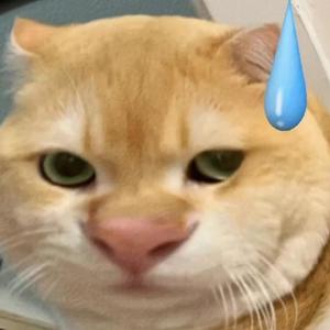 八连臭火之歌