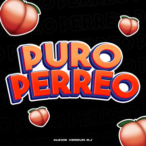 Puro Perreo (Enganchado)