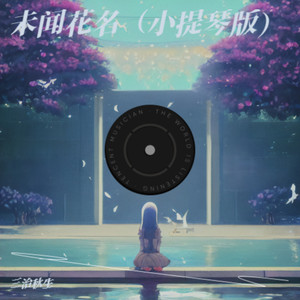 未闻花名 (小提琴版)封面