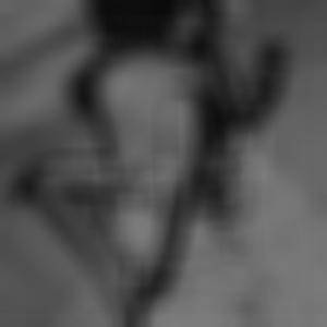 WORK MY BODY
