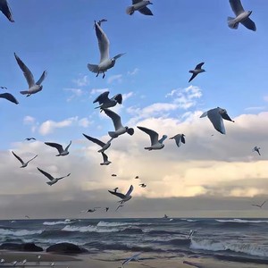 第三个吻痕 (女声r&b版)