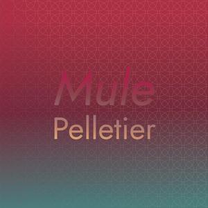 Mule Pelletier