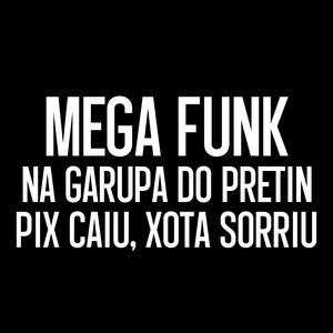 MEGA FUNK NA GARUPA DO PRETIN x PIX CAIU XOTA SORRIU (feat. DJ Guina, MC Zudo Boladão, MC Wallace G, MC GSEIS, WR Original, Pequeno Diamante & DJ JHOW ZS)