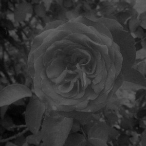 Like That (Explicit)