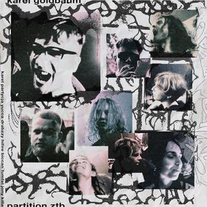 Partition ZTB (Dub Mix|feat. partycja, Drabusheyka, HIFIRE, KILLAMOLLY, Fumfel, Blady Yucca, biccandemo & jonythegoat)