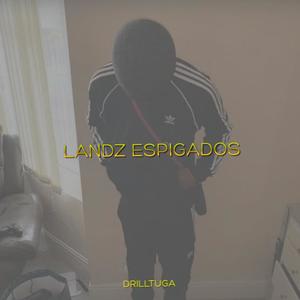 LANDZ ESPIGADOS (Explicit)