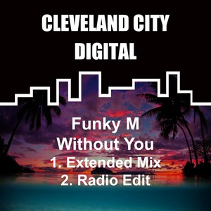 Without You (Radio Edit)