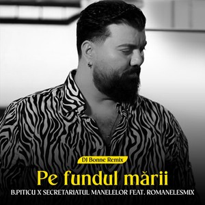 Pe fundul marii (Dj Bonne Remix)