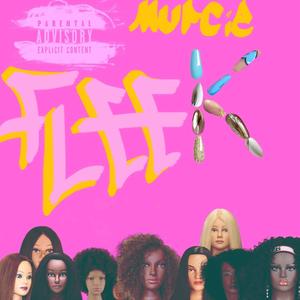 Fleek (feat. Brookz Willie Blanco) [Explicit]