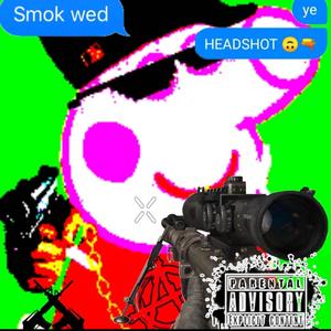I DISAGREE WITH YOUR WRONG OPINION (feat. sybrwalrus & KamiKazi)