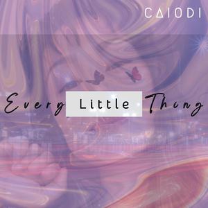 Every Little Thing (Explicit)