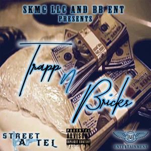 Trapp N Bricks