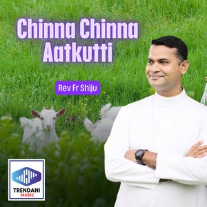 Chinna Chinna Aatkutti