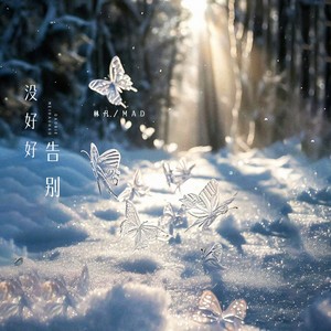 没好好告别 (伴奏)