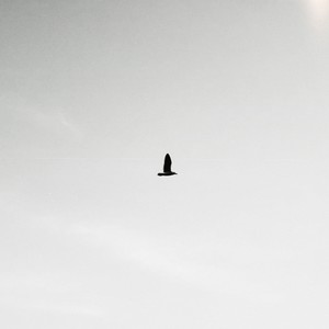 Let me fly (Explicit)